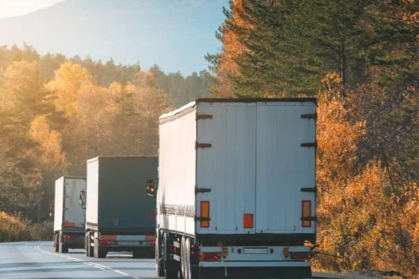 Ankara Alaca Nakliyat